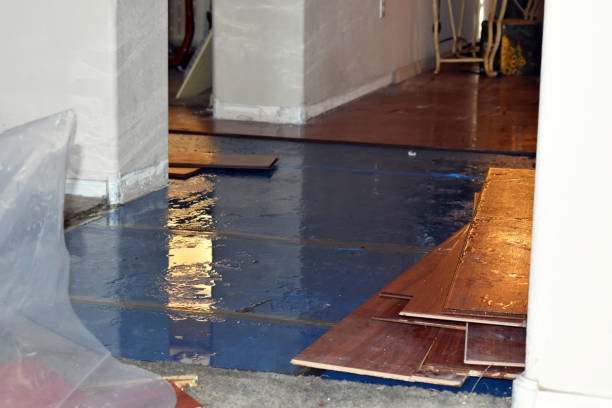 Professional Water Damage Restoration technician working in Marion, MA